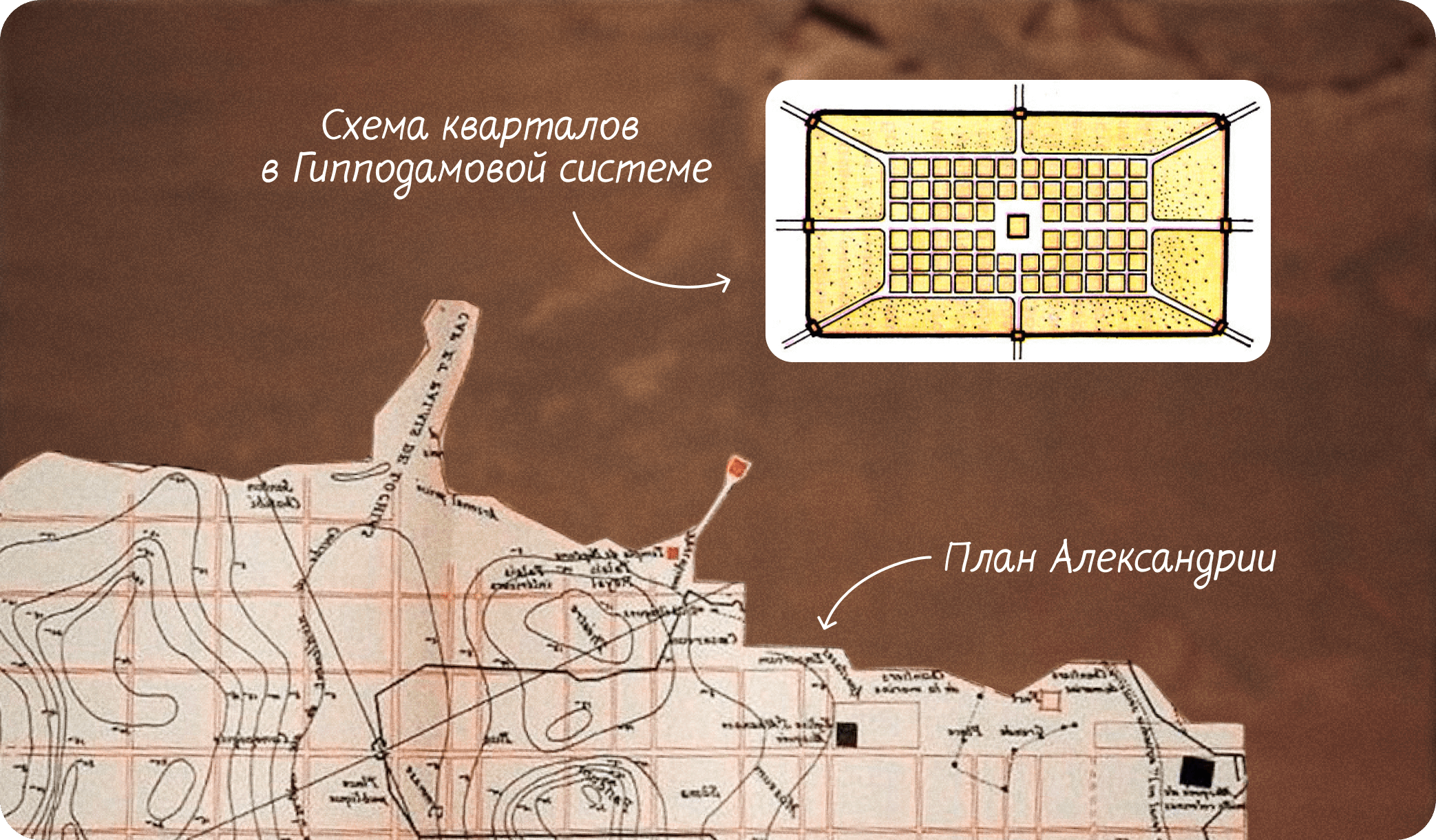 Система кварталов в Гипподамовой системе, План Александрии