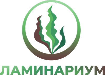 Company