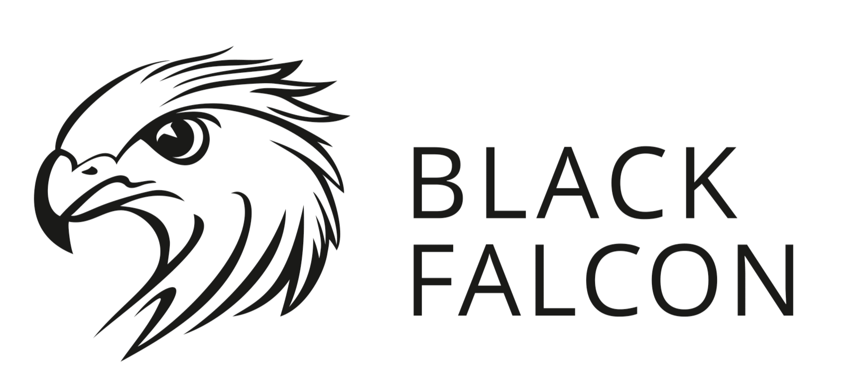 BLACK FALCON