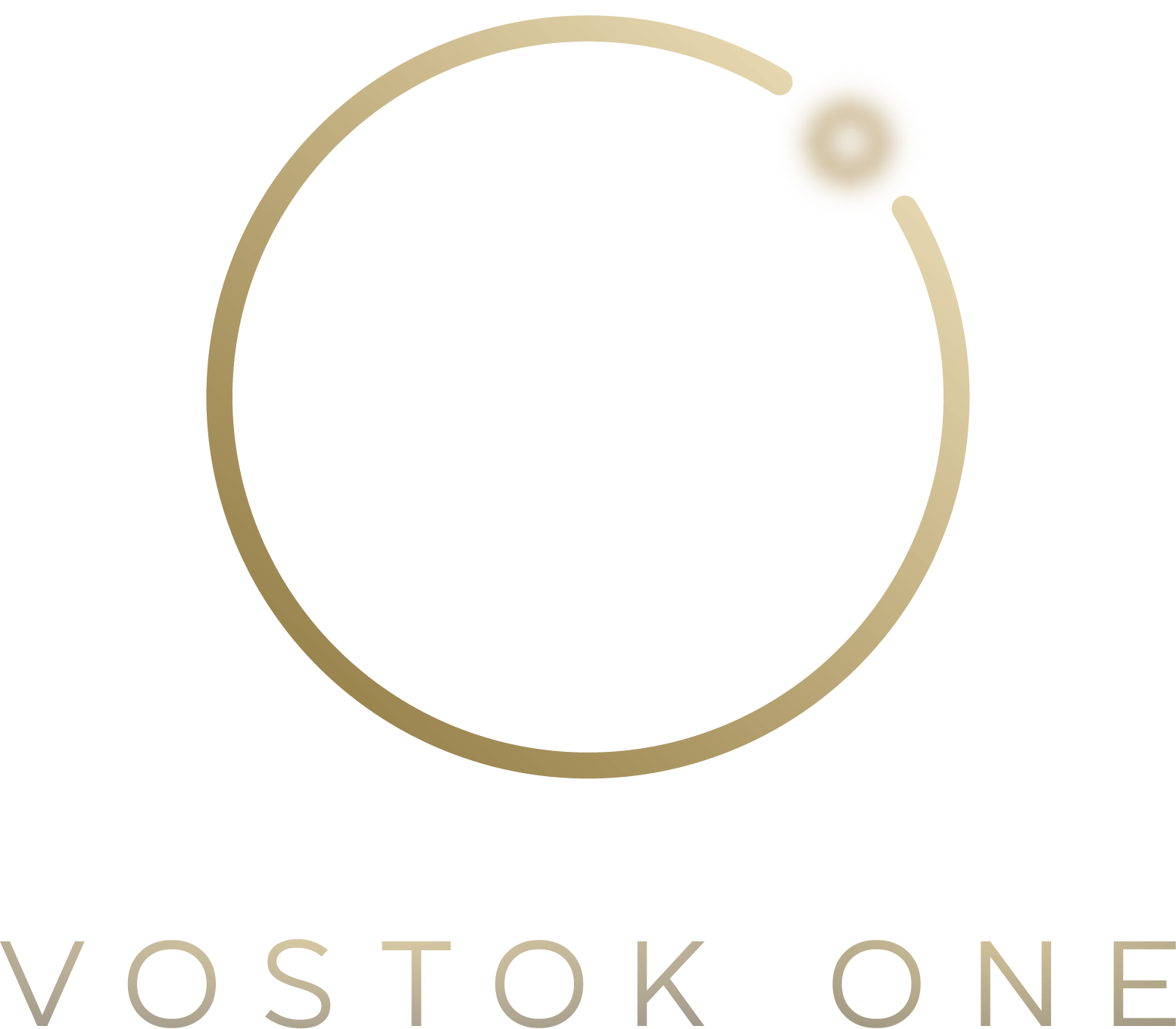 VOSTOK ONE