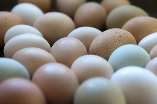 Сухой яичный белок оптом | ТД Доминант