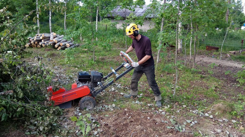 Нужно расчистить участок. Расчистка участка. Расчистка участка от кустарников. Уборка участка от деревьев и кустарников. Очистка территории от кустарников.