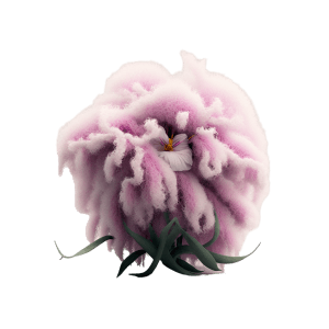 Космическое сафари на планету Эрикте. Веб-дизайнер Диана Шакерова