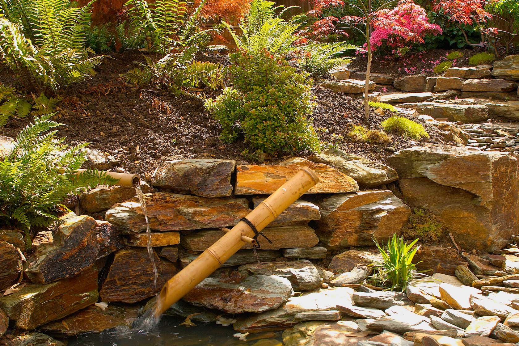 Rock garden its exclusive elements for your villa in landscape design of Dominican Republic