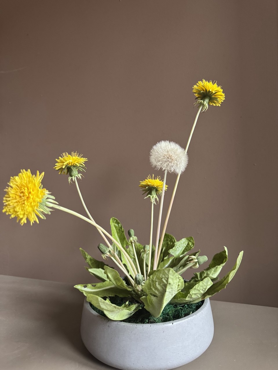 Композиция из холодного фарфора