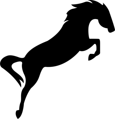 Курс по конкуру