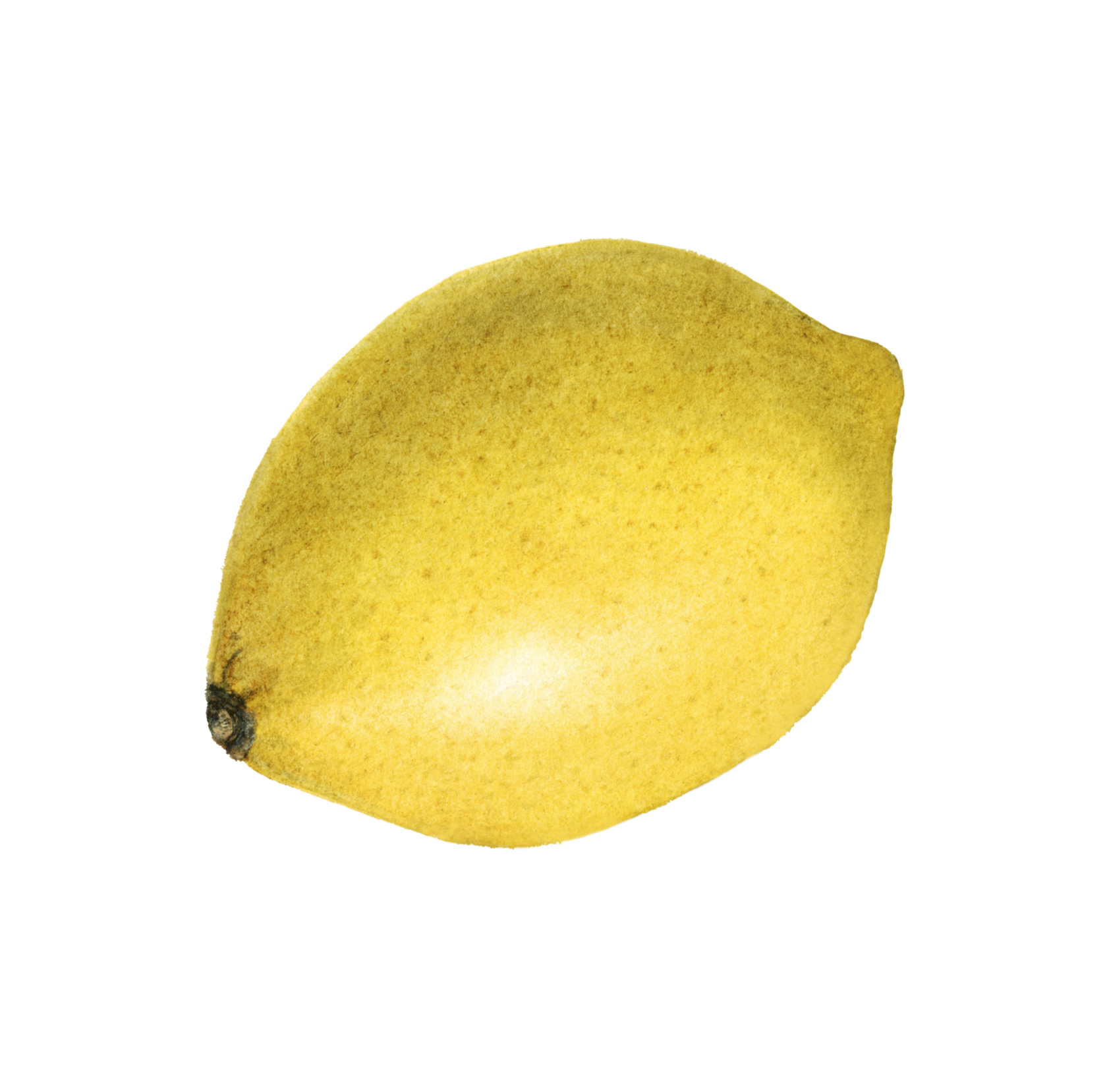 натуральная косметика, магазин профессиональной косметики, крем для ног, крем для ног с мочевиной, крем для ног купить, масло для ногтей, масло монарды для ногтей, масло для ногтей купить, косметика для ногтей, дезодорант для ног