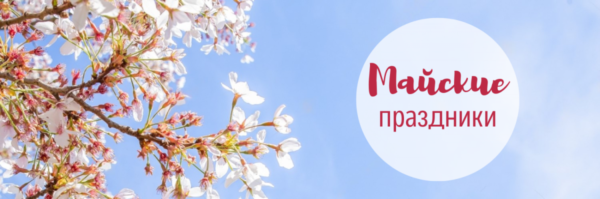 Майские праздники в 2025 году в Воронеже: программа мероприятий, куда сходить в Воронеже? Geek Hostel 2025 Воронеж