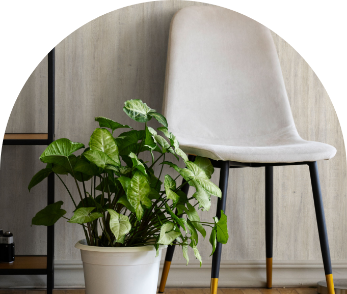 озеленение офиса