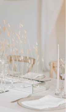 Neponaroshky-wedding-svadba-krym