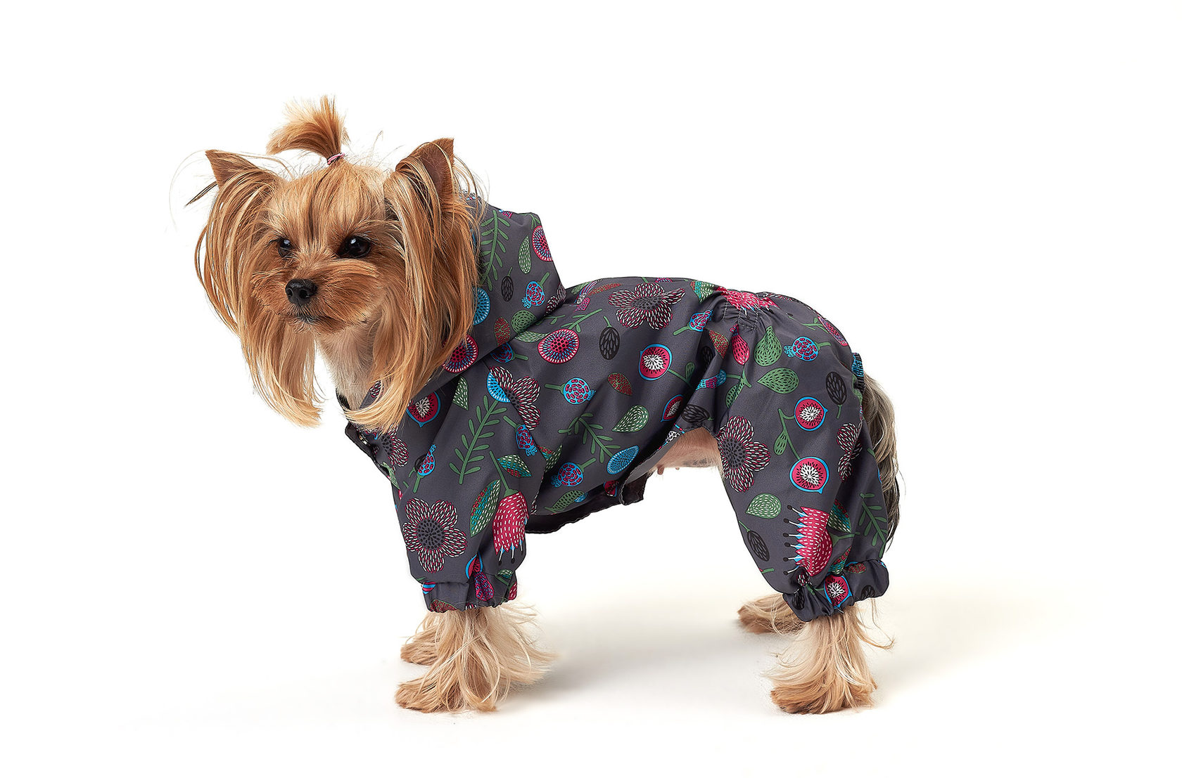 Одежда для собак. Весенняя одежда для собак. Однотонная одежда для собак. Одежда для собак дома. Для собак оптом от производителя