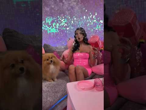 Превью видео «Шпиц»