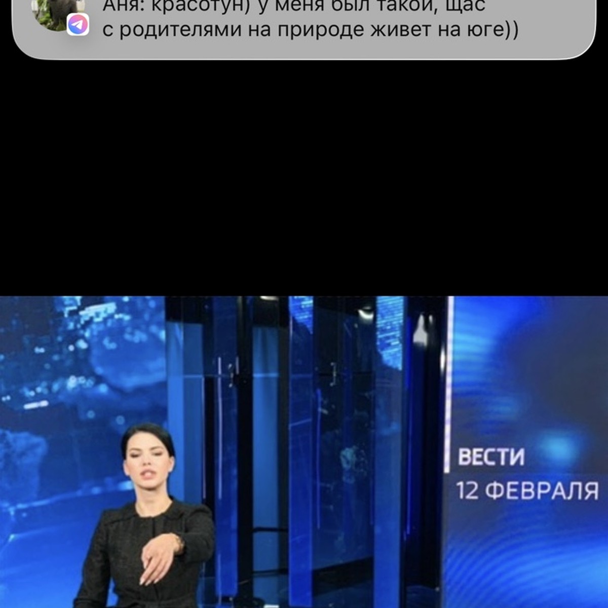 Валерия Авер в студии программы «Вести»