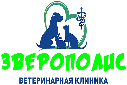 Жуковский, Московская площадь, 1Б