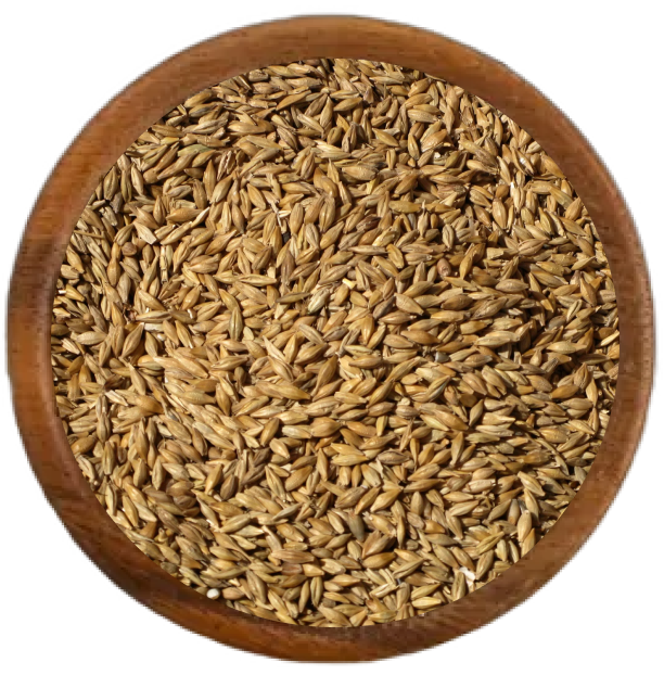 Цельнозерновая пшеница