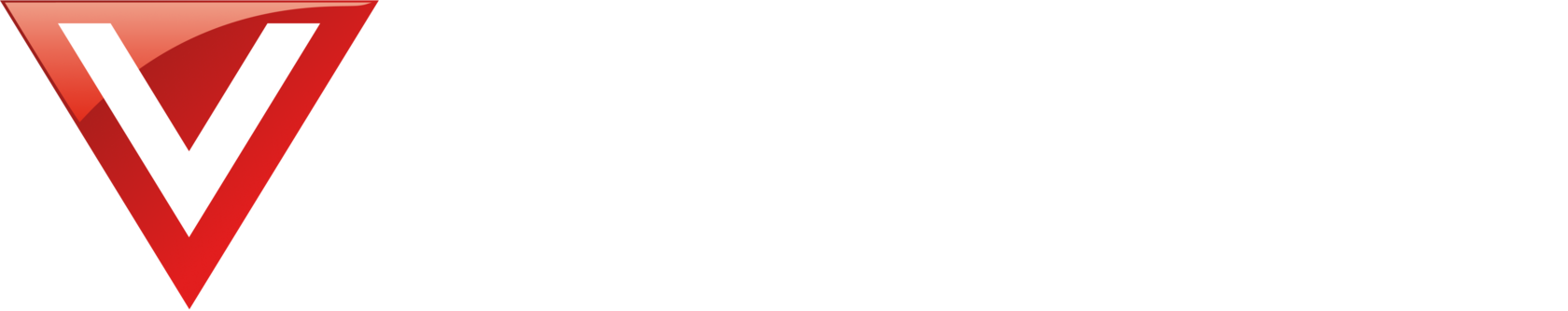 Vysotskiy consulting