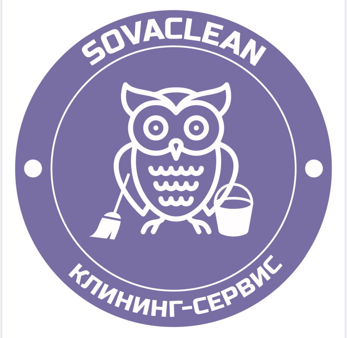 Сайт сова https sovainfo ru. Сова. Сова уборка. Сова клининг. Сова компания.