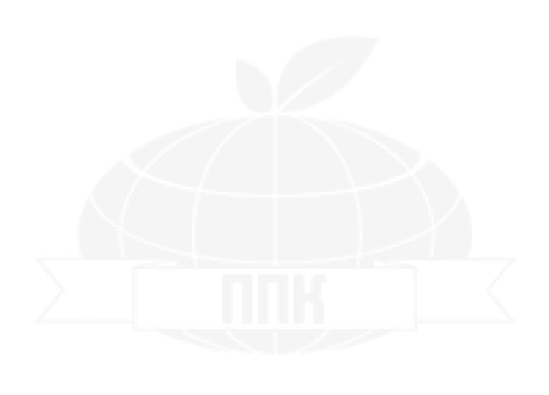 Логотип 2