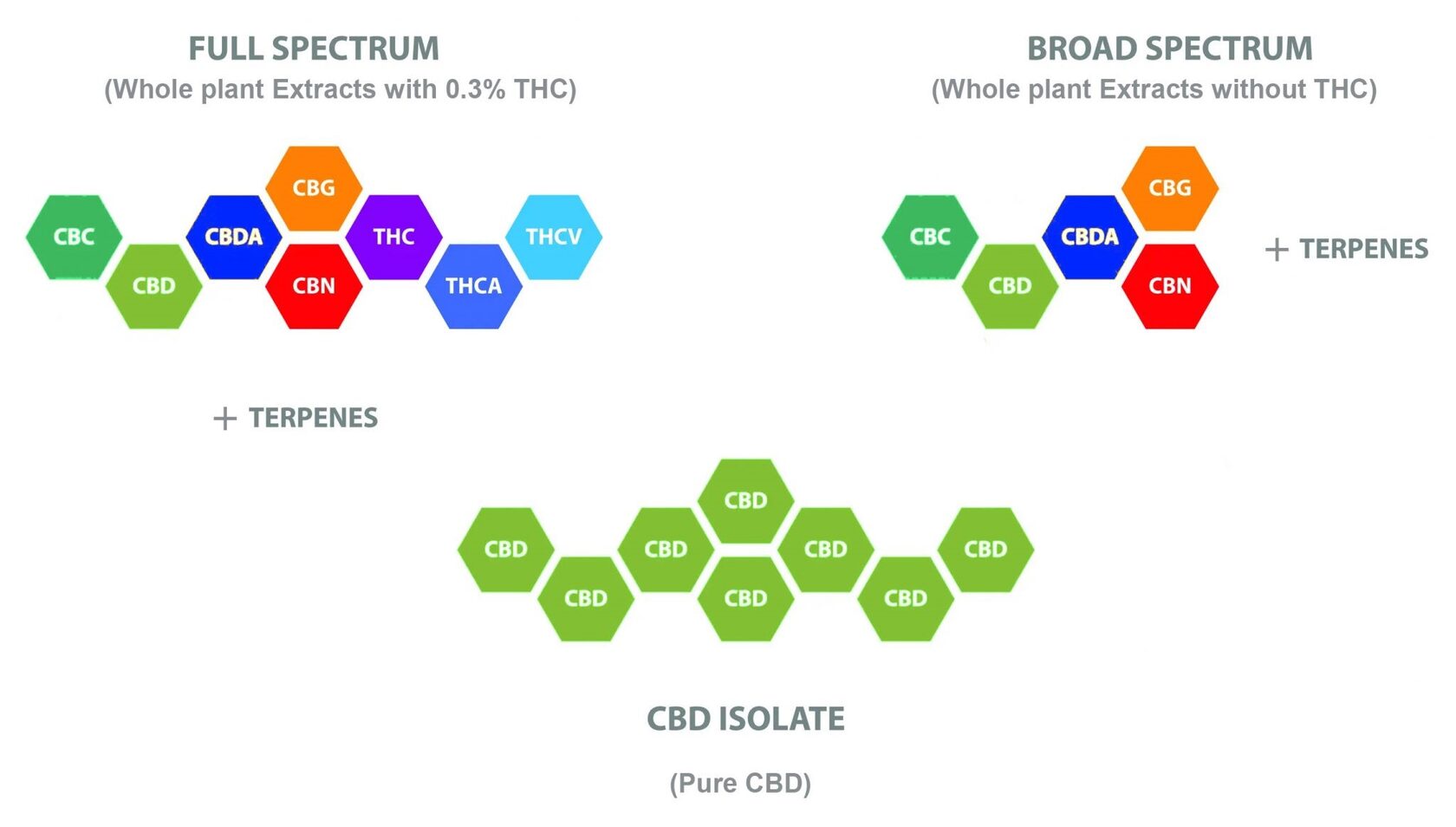 Типы спектров CBD