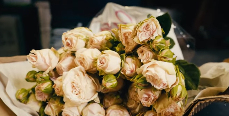 Розы от плантации Subati