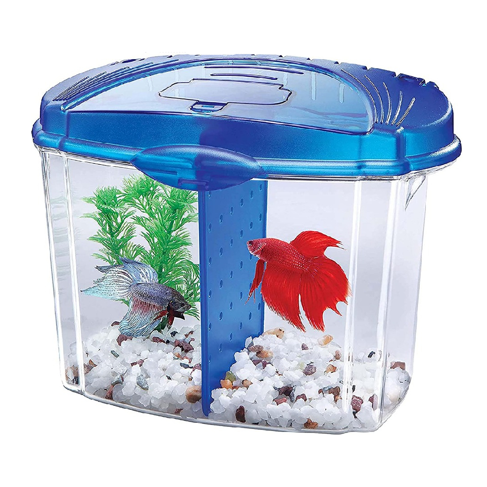 Что нужно для аквариума с рыбками. Аквариумы Aqueon 2 Gallon Betta Falls Aquarium Kit. Аквариум Бетта для петушков. Аквариум 5л для петушков. Аквариум 10 литров рыбка петушок.