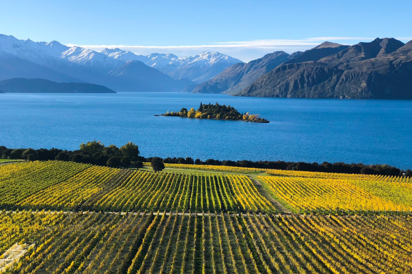 Новая зеландия вино фото
