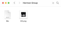 файловый браузер с логотипом Hermon Hroup