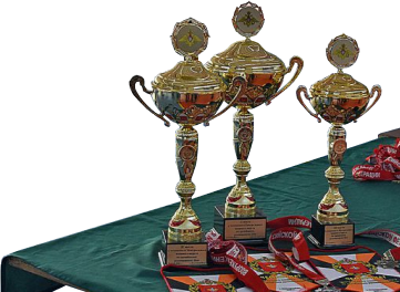 События федерации армейского рукопашного боя кубок награды