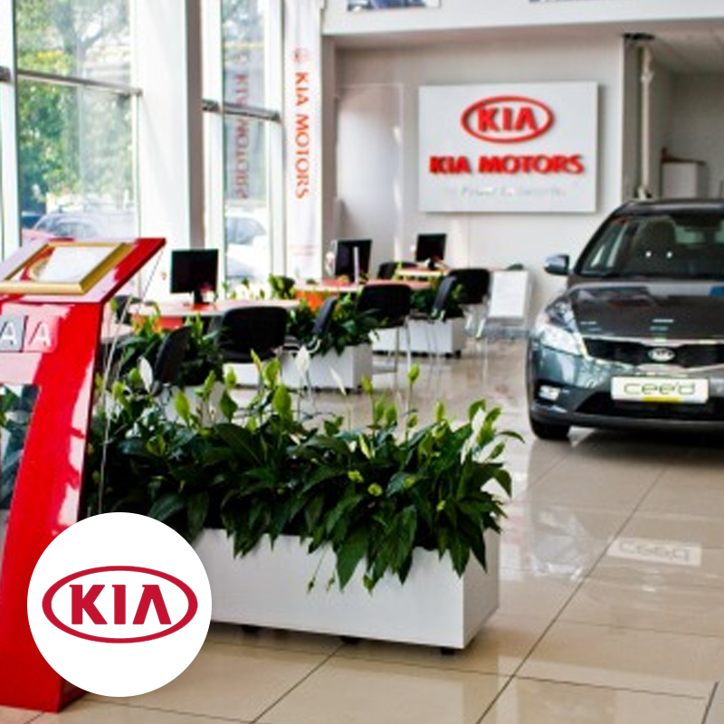 Kia цветочный проезд