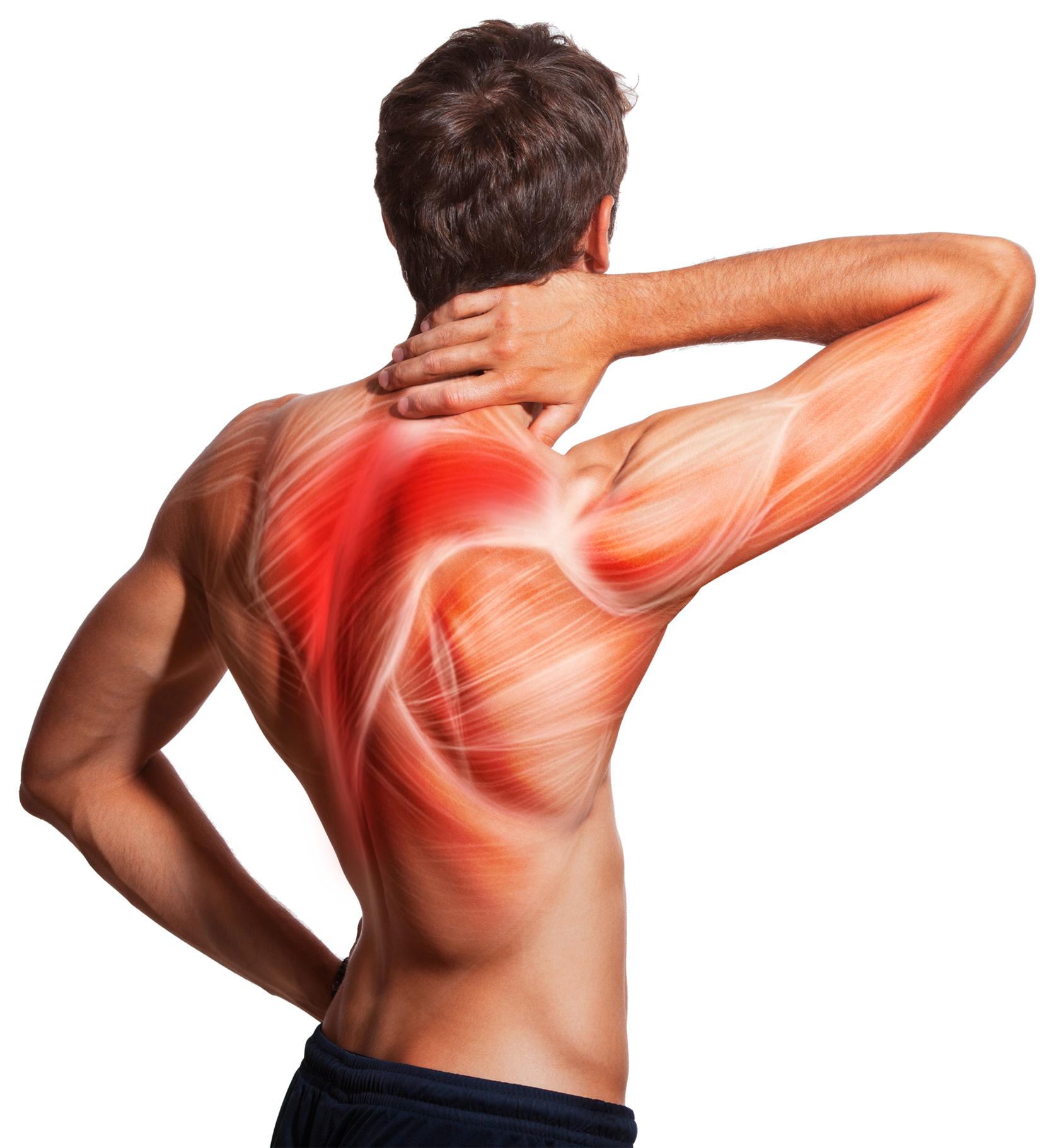 Боль в спине после тренировки