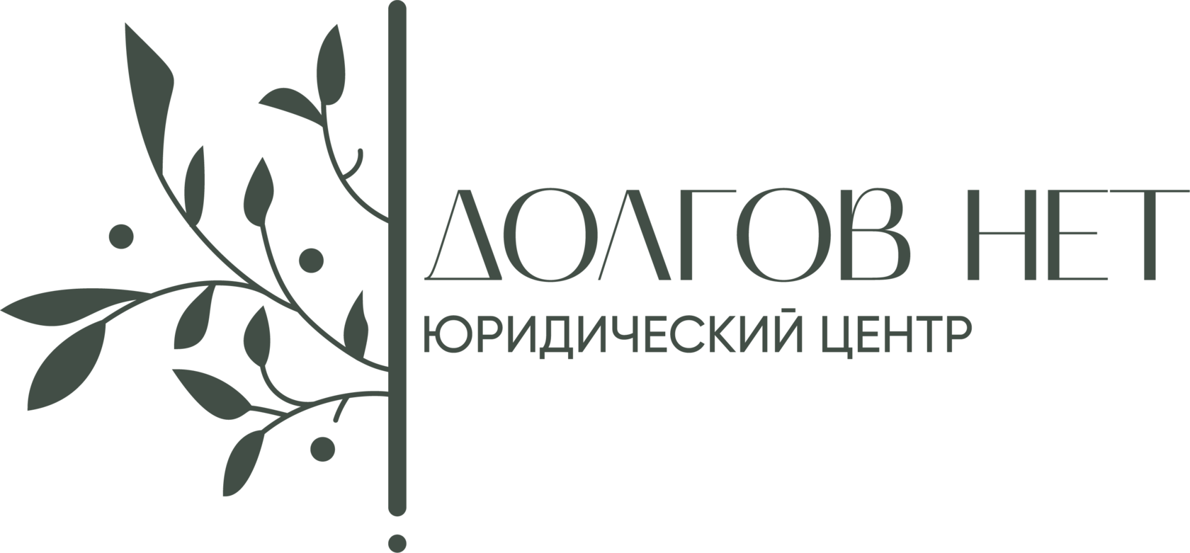 Юридический центр Долгов Нет