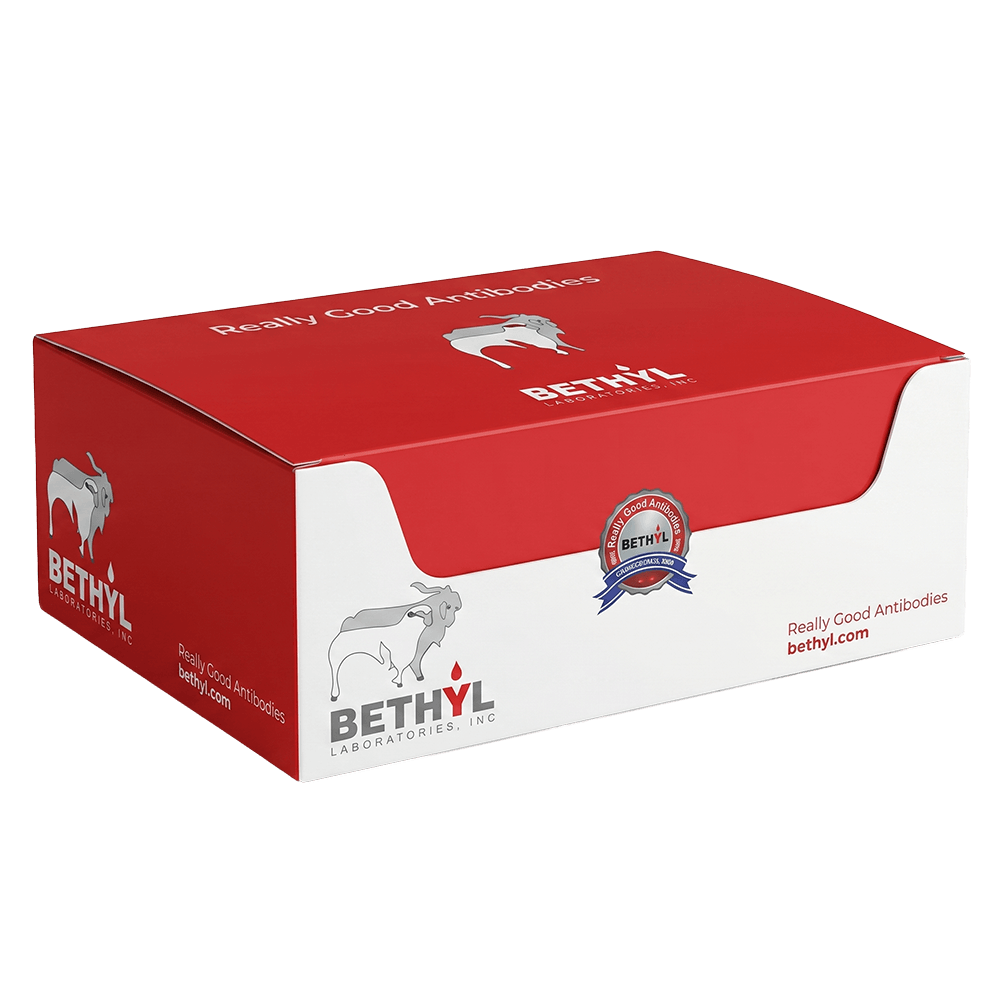 5-Kit Packs
