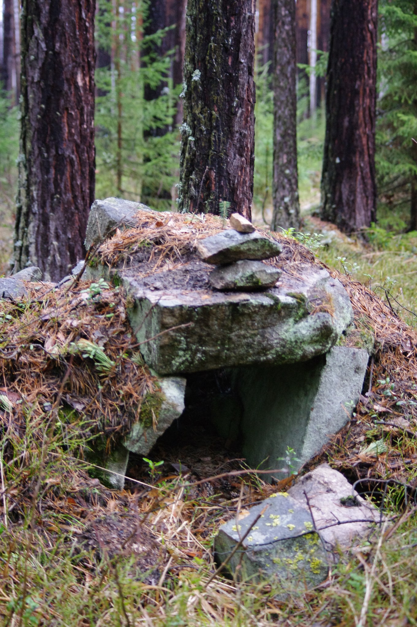 "Земля предков"