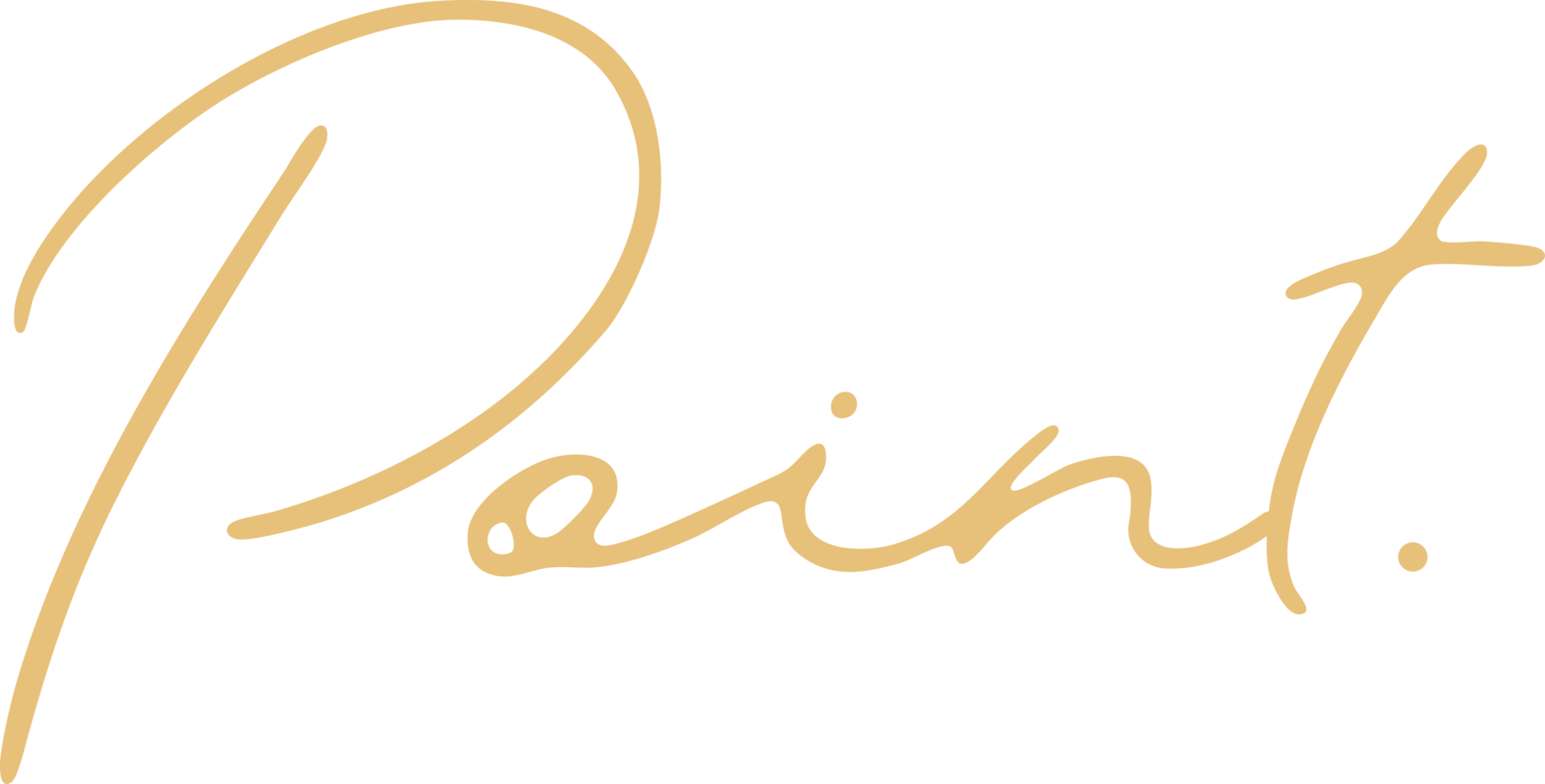 Point Cosmetics
