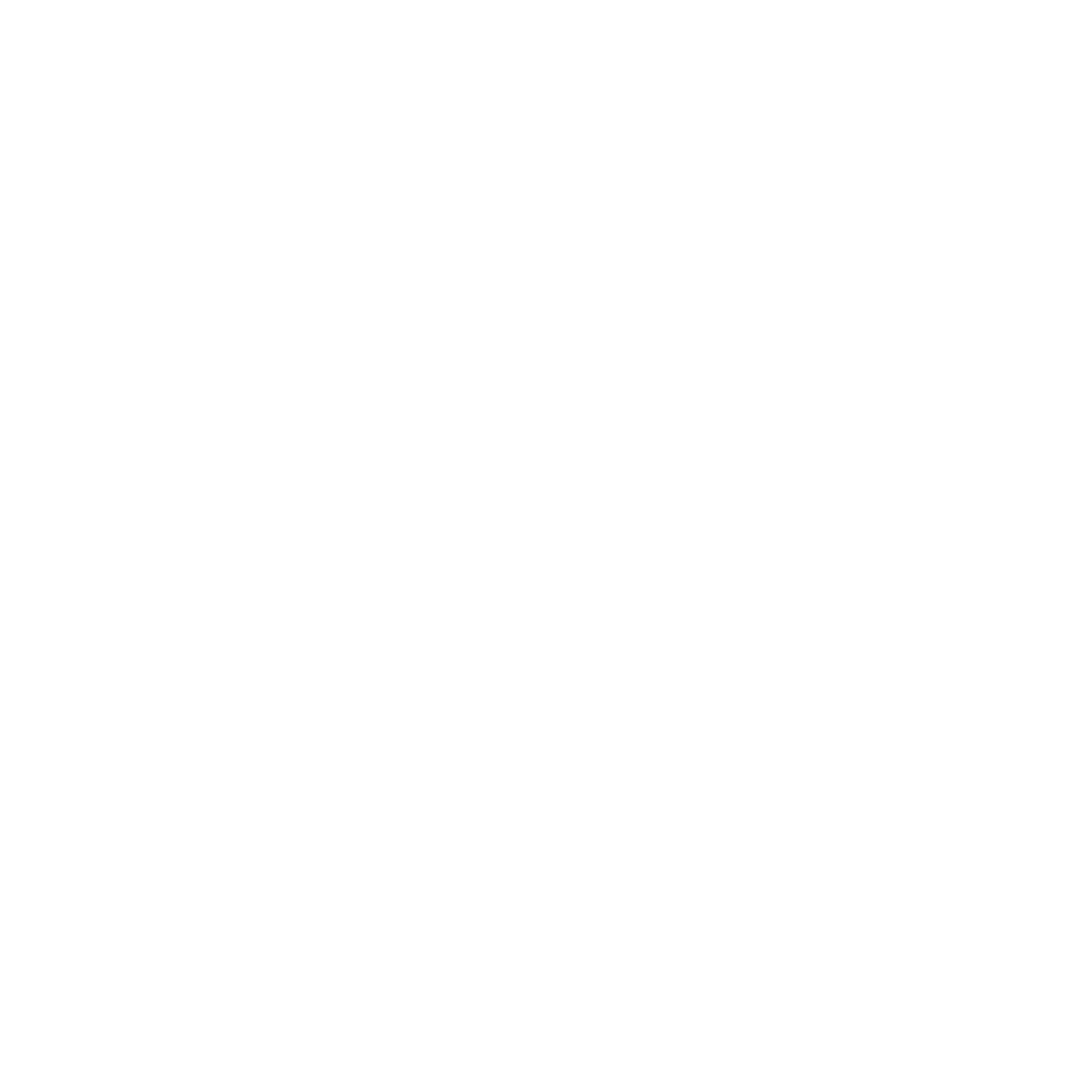 логотип ООО "СтройДверь"