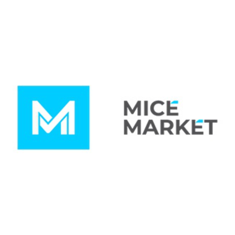 Mice агентства. Логотип Mice агентство. Mice Agency пользователь. ООО Майс стрим.