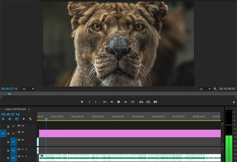 озвучка видео и фильмов