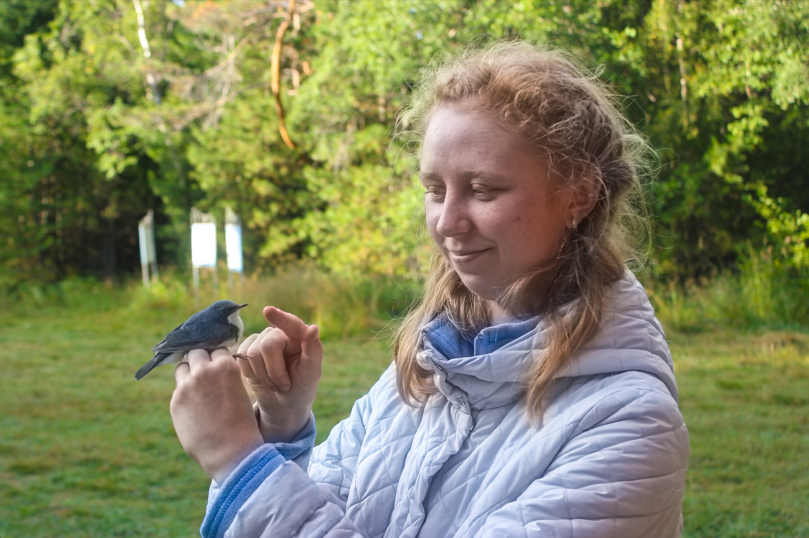 станция кольцевания птиц «Байкальская»