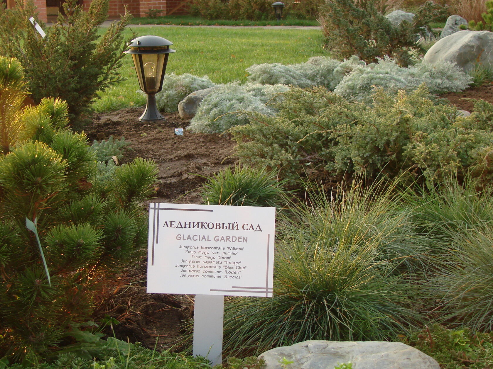 Северный сад. Сад Одина. Сет Glacial Gardens. Садик на Вересковой Белгород.