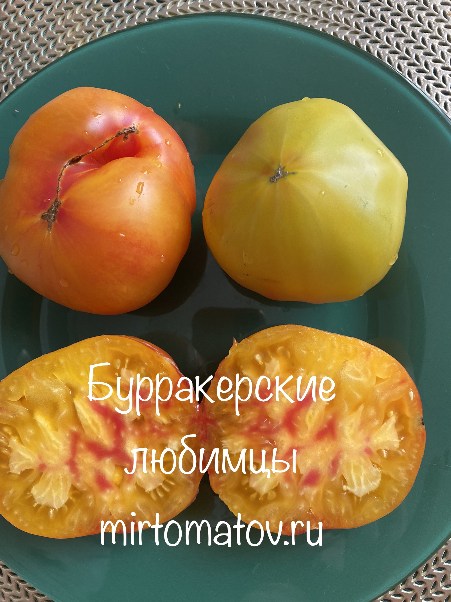 Буракерские любимцы