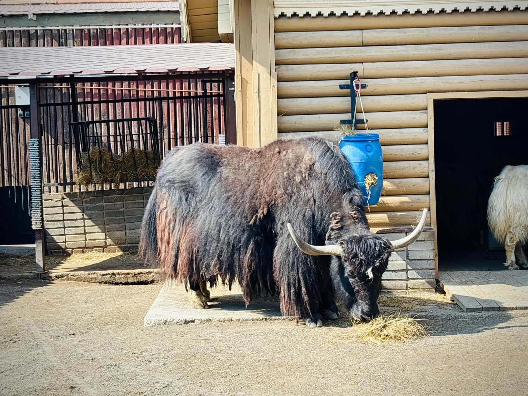 Афиша Nobless: Лекторий в Московском зоопарке