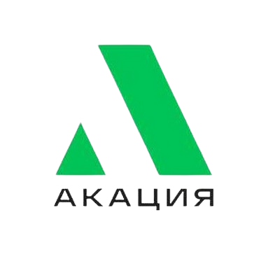 Белая акация робиния ложноакациевая. Компания акация. Робиния псевдоакация. Робиния псевдоакация. Акация белая (робиния).