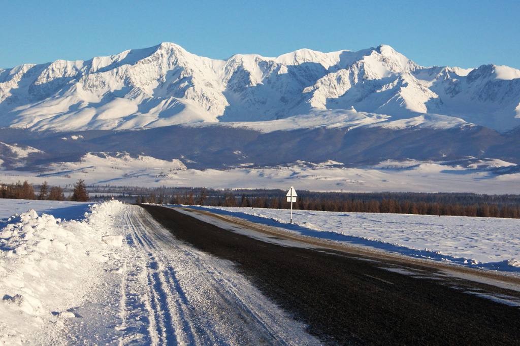 Курай степь