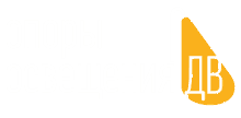 Опоры освещения ДВ