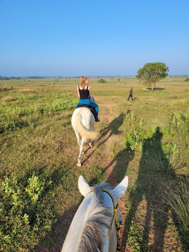 Horse and rider moving through open country at Vonfidel Ranch where riding holidays are shaped by horse welfare suitability and field judgment.