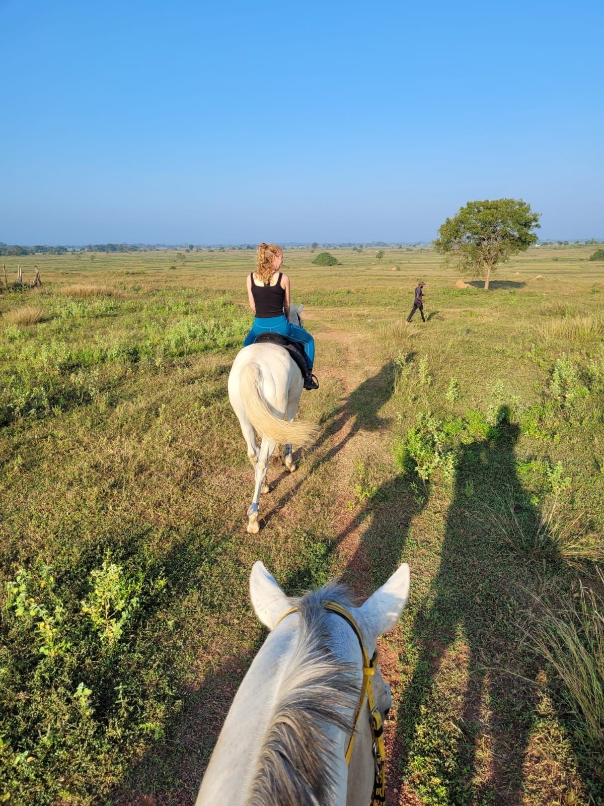 Horseback riding holiday in Sri Lanka at Vonfidel Ranch, offering world-class equestrian trail rides and safaris