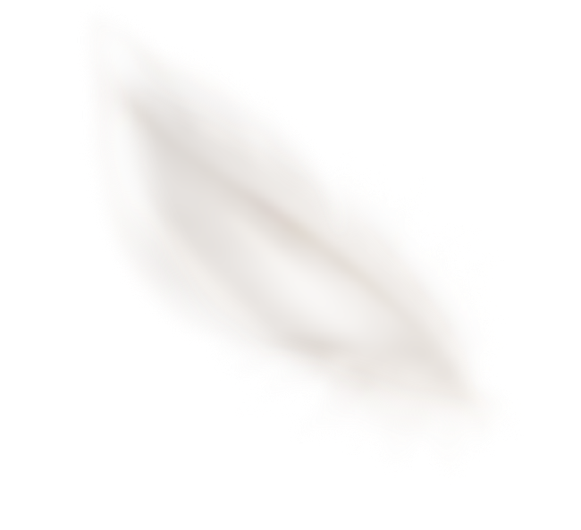 Бежевое перо слегка заблюренное в левом поле окна