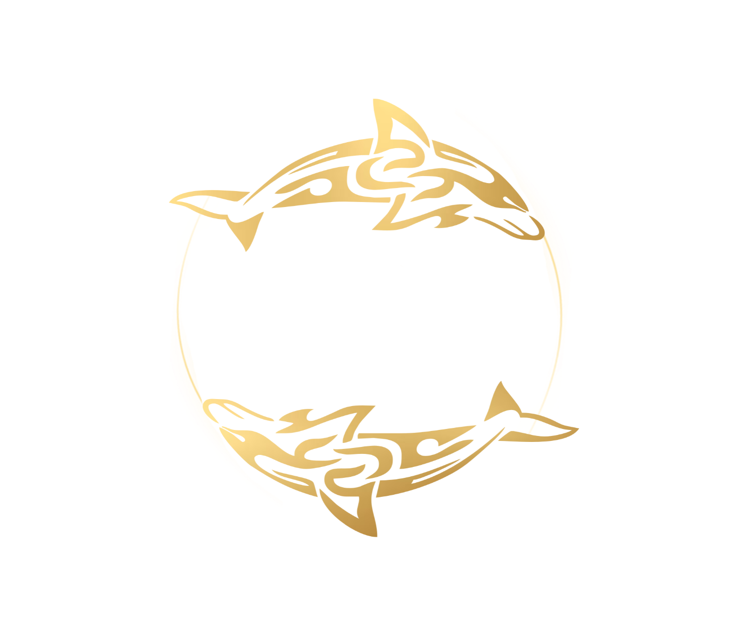  Спортивно-оздоровительный проект LIFE TIME в Петербурге 