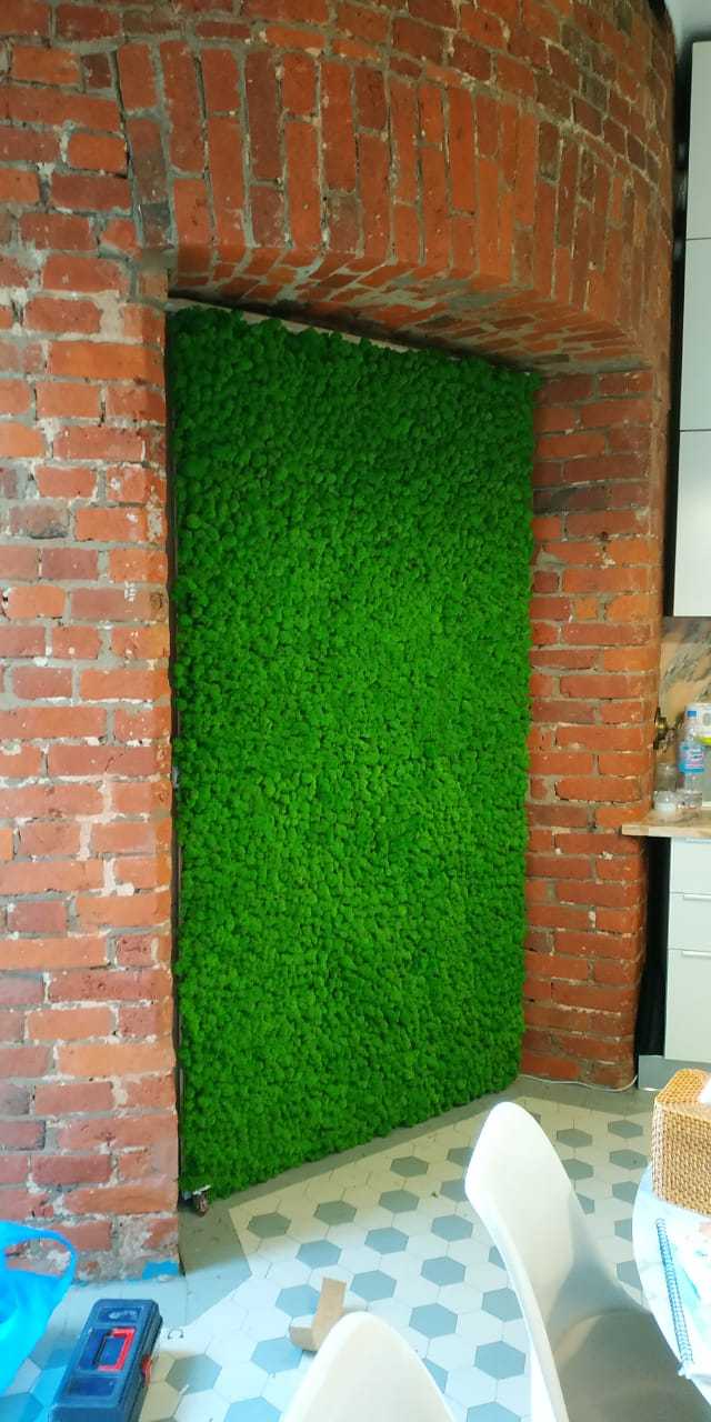 Фитостена из мха в квартире от Nature Walls