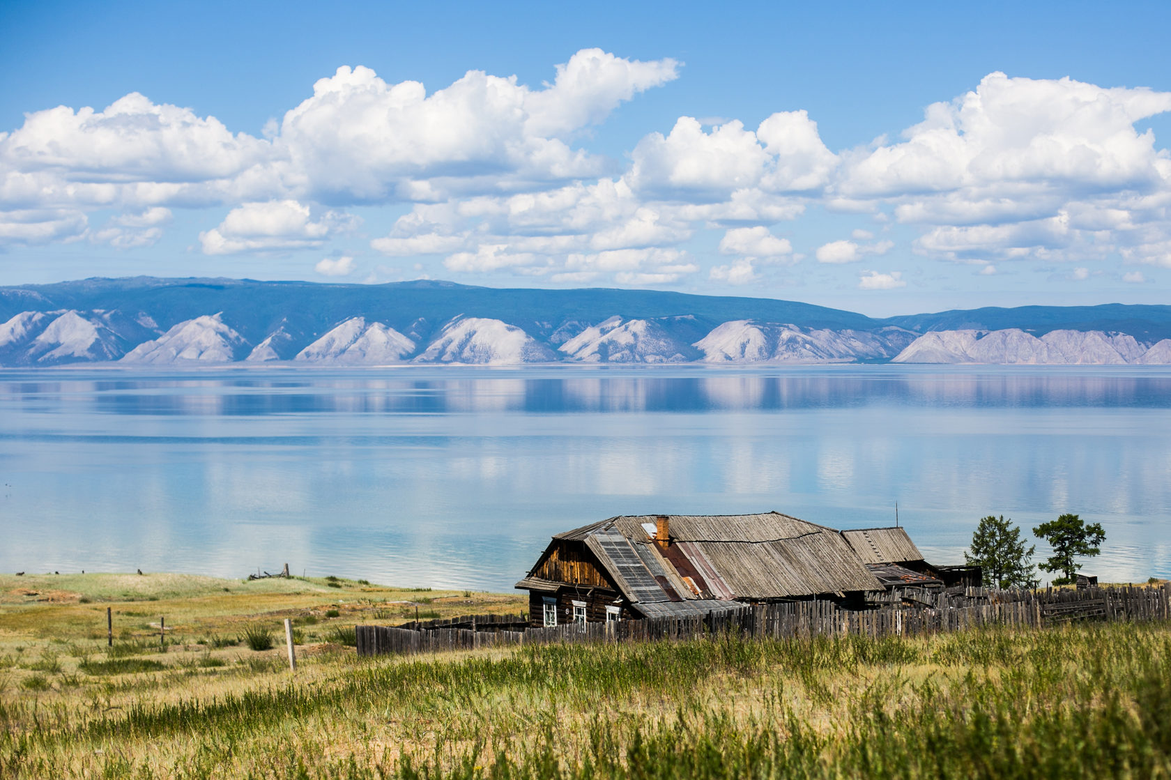 Жители байкала фото